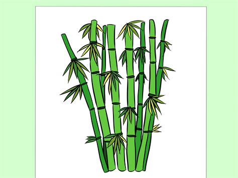 How To Draw Bamboo .